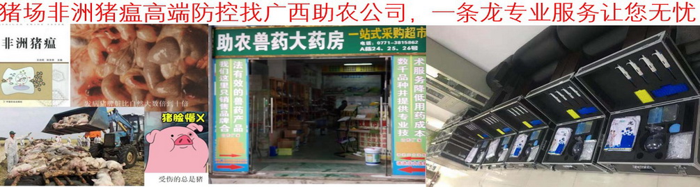 豬場非洲豬瘟高端防控找廣西助農公司，一條龍專業服務讓您無憂